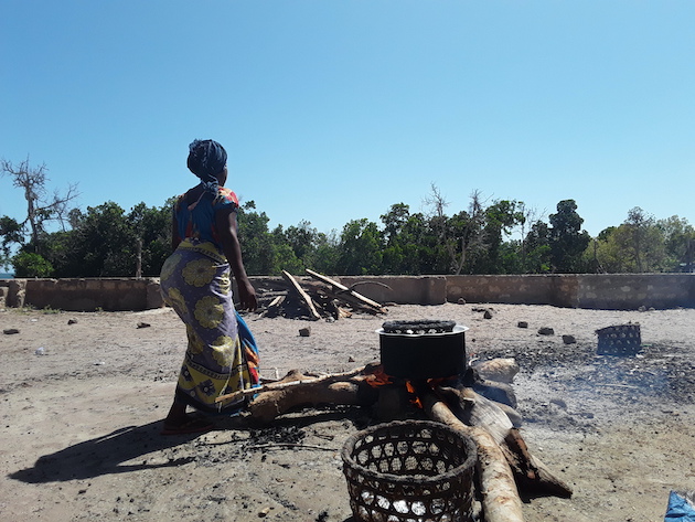 Kenyan Community Project Saving Forests, Saving Livelihoods