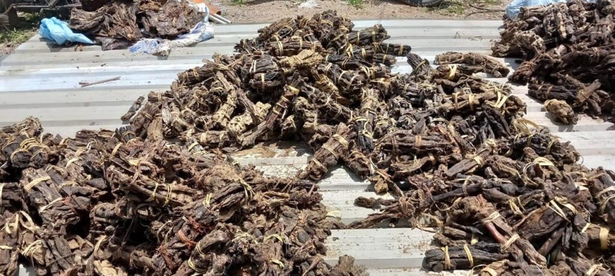 Bushmeat poaching is wiping out Angola&rsquo;s wildlife